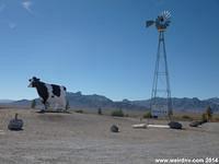 Giant cow with weather vane.