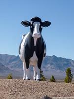 A giant cow in the Nevada desert!