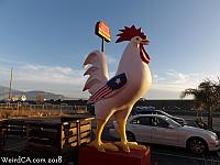 Banning Giant Rooster