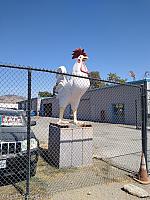 Morgan Hill Giant Chicken