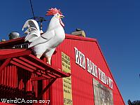 Tarzana Giant Chicken