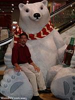 Polar Bear at the World of Coca Cola