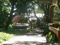 Looking down the driveway at the Berkeley Orange