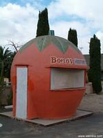 Bono's Historic Orange
