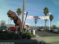 SLO Dinosaur guards the Auto Dealerships