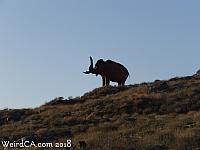 The mammoth on the hill in Jurupa Valley is so iconic it even appears on the city seal!