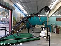 Dinosaur in gift shop