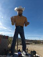 Joshua Tree