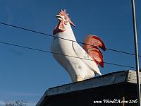 Mentone Giant Rooster
