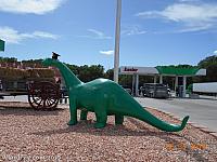 Alamo Dinosaur celebrating Graduation