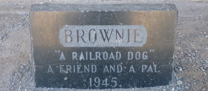 Brownie the Railroad Dog