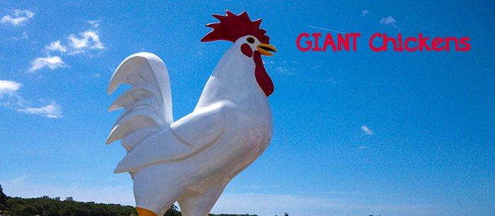 Giant Chickens